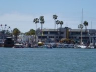 Doheny woodies 2014 (30)